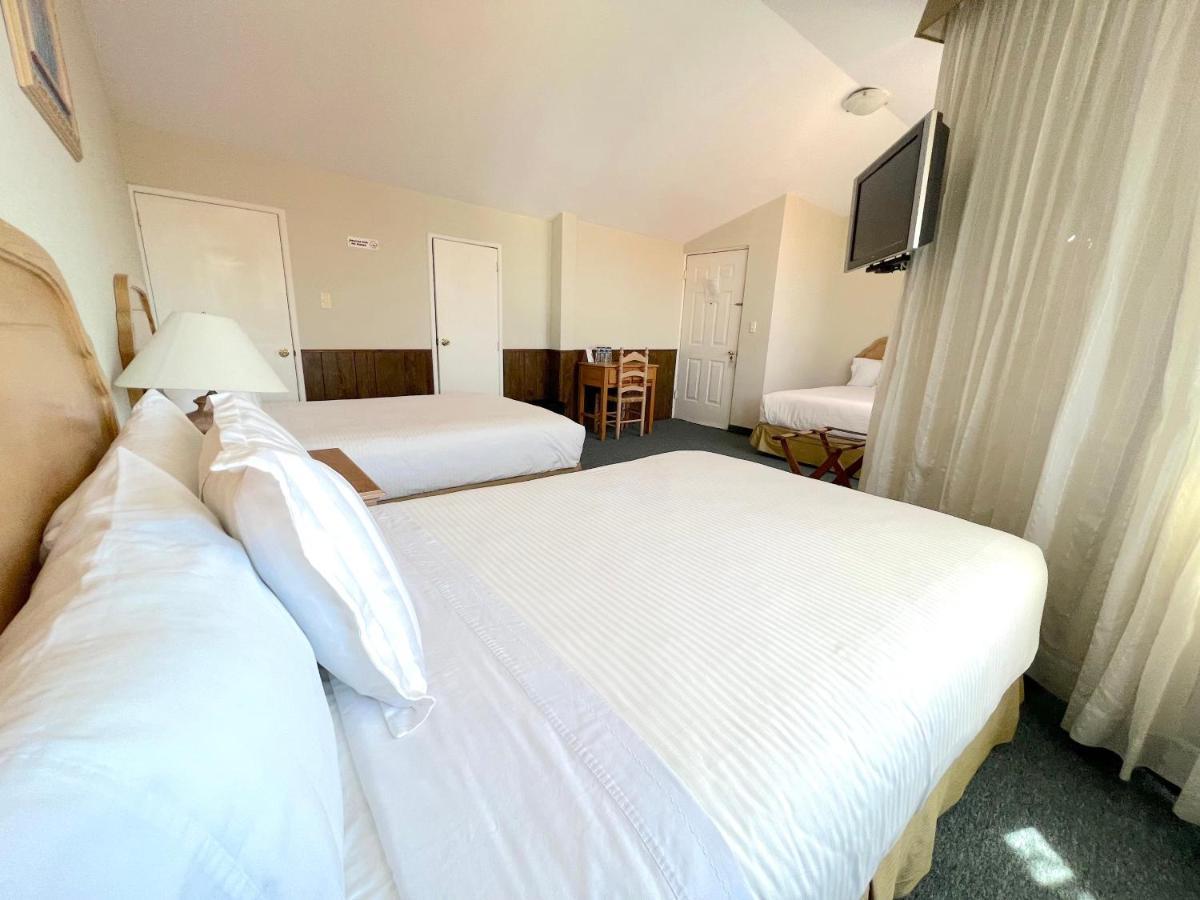 Biohotel Boutique Metepec Toluca Extérieur photo